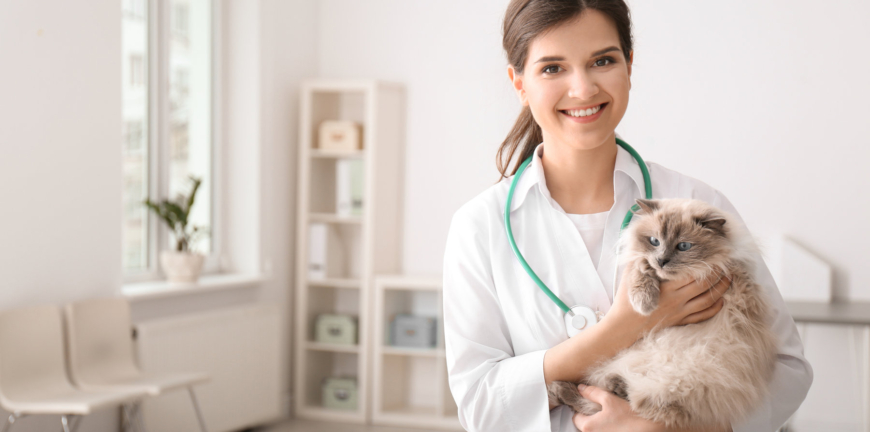 Young veterinarian holding cat in clinic