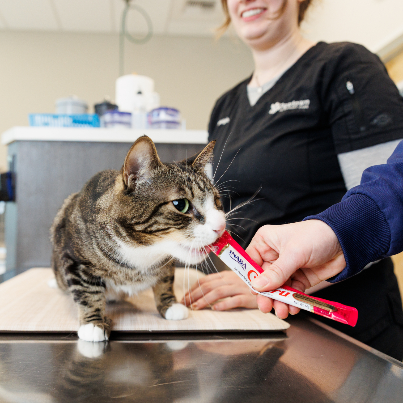 PAWTOWN VETERINARY CARE PAWTOWN VETERINARY CARE