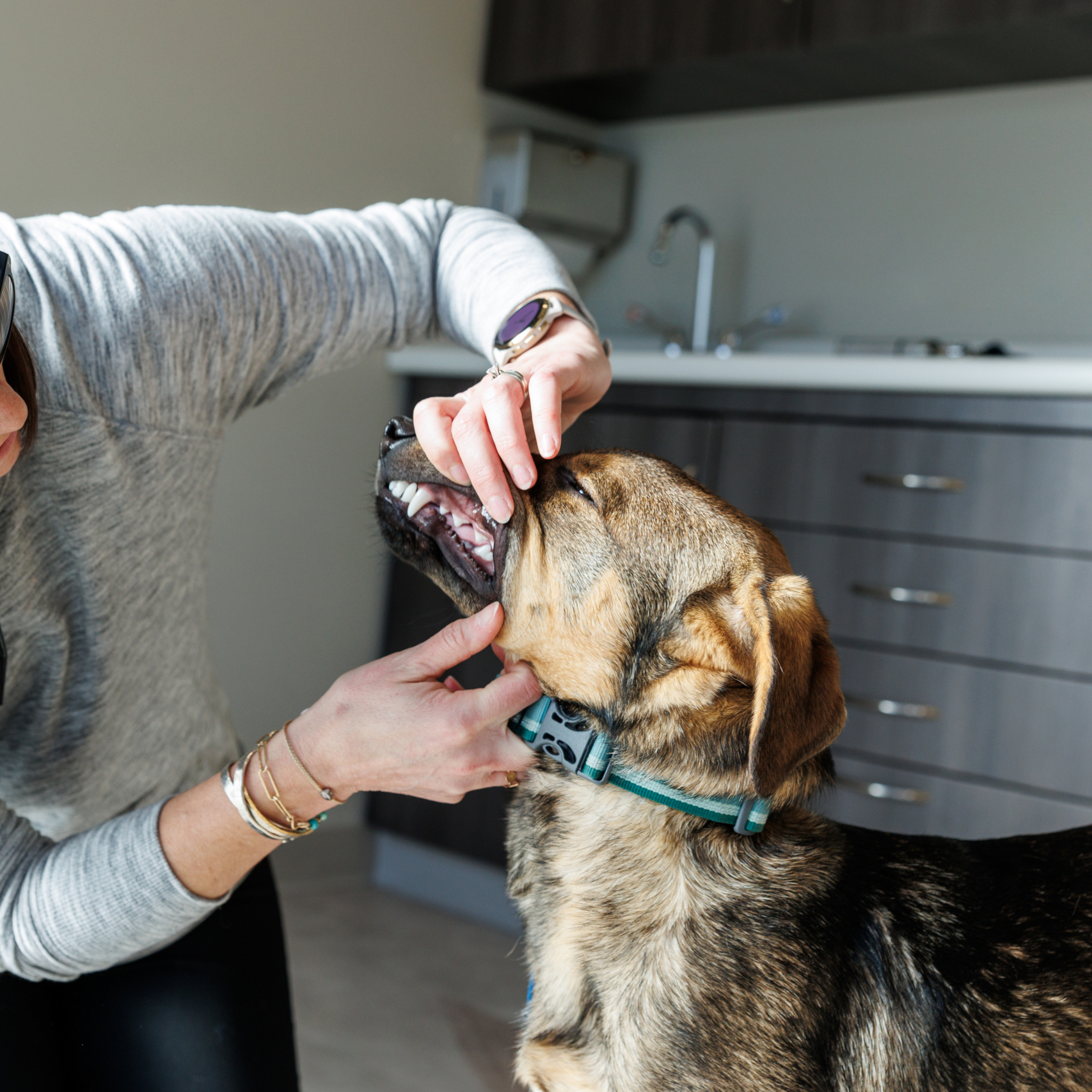 PAWTOWN VETERINARY CARE PAWTOWN VETERINARY CARE