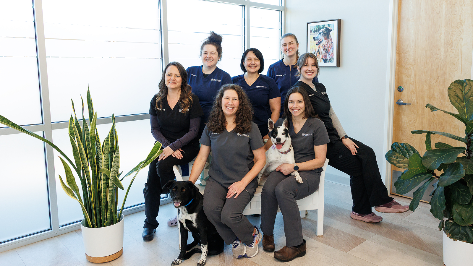 veterinary-caregroup