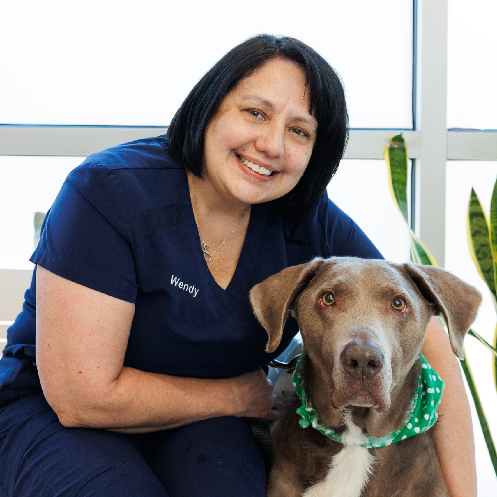 PAWTOWN VETERINARY CARE PAWTOWN VETERINARY CARE