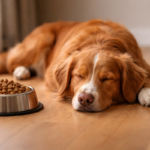 What Behavioral Changes in Pets Signal Hidden Health Issues?