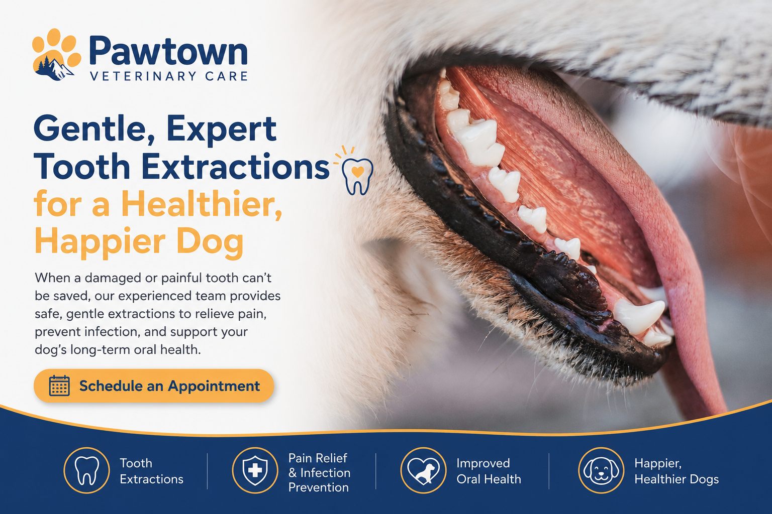 Dog tooth extractions at Pawtown Veterinary Care in Bend Oregon