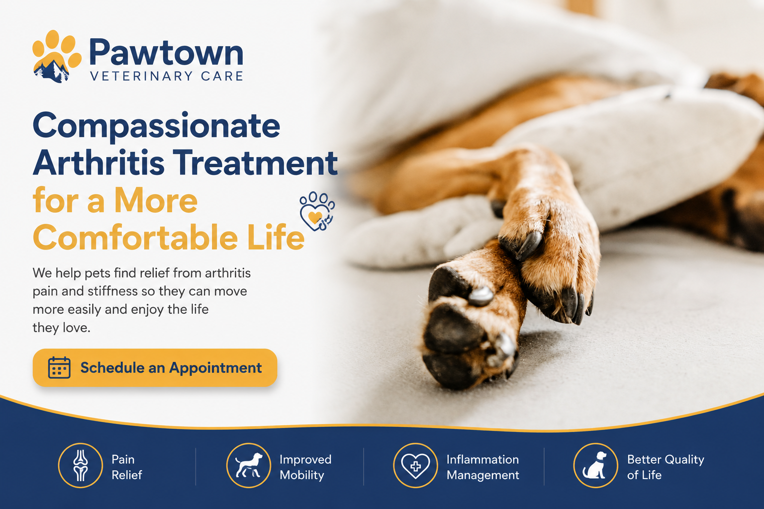 Arthritis treatment for dogs and cats at Pawtown Veterinary Care in Bend Oregon