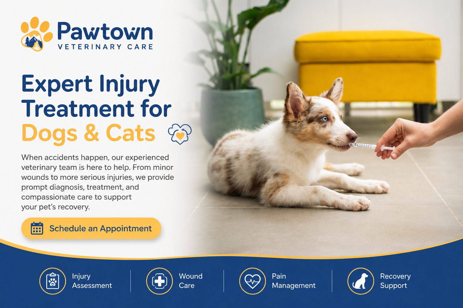 Expert injury treatment for dogs and cats at Pawtown Veterinary Care in Bend Oregon